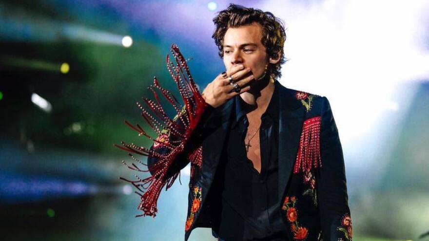 Condenada a prisión una mujer brasileña por acosar al cantante Harry Styles