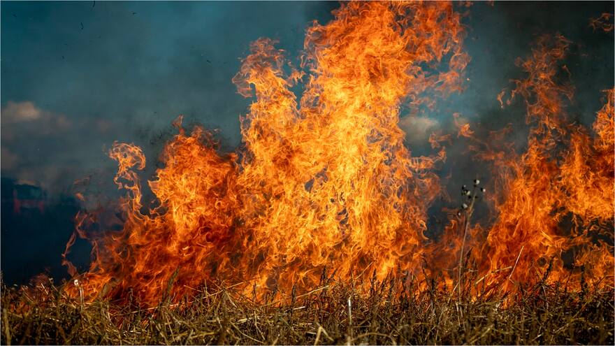 Incendio forestal arrasa con varias casas en Australia