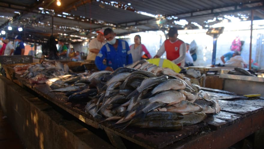 Semana Santa: AUNAP adelanta operativos sanitarios en la Plaza del Pescado
