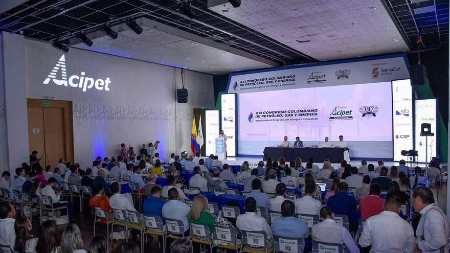 Decisiones del Gobierno han afectado al sector de hidrocarburos: Acipet