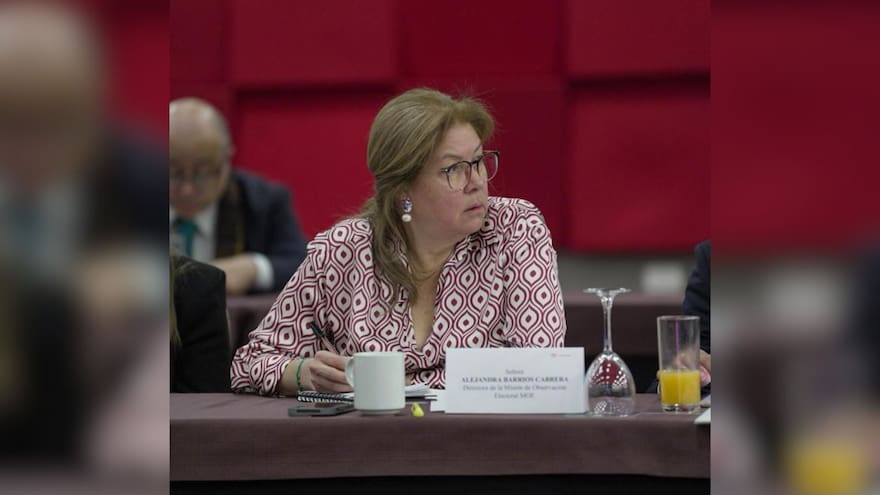 La MOE muestra preocupación por “narrativa” para sembrar dudas sobre resultados de las elecciones