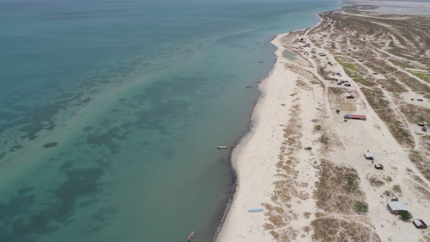 La Guajira, la nueva despensa de carbono azul