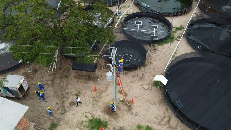 Air-e denuncia finca piscícola que operaba sus estanques con luz robada