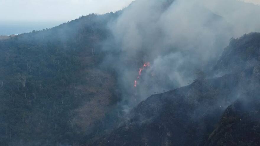 Emergencia ambiental por incendio forestal en Providencia