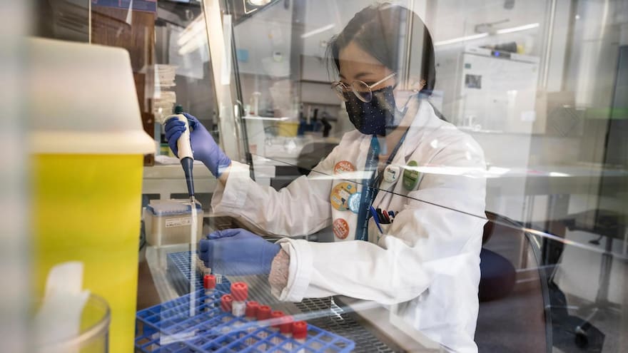 OMS publica lista de patógenos que pueden causar las futuras pandemias