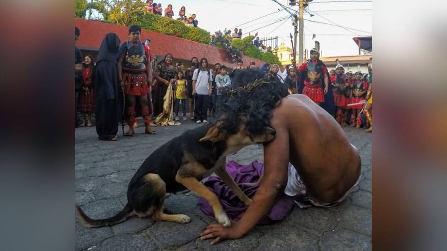 Perro 'consuela' a actor que interpretaba a Jesús en dramatización de Viacrucis