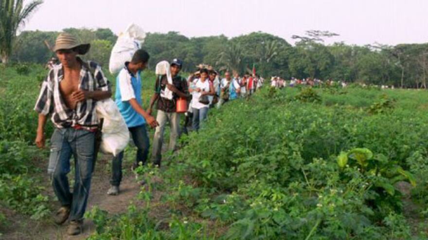 Desplazamiento en Hacienda Las Pavas: condenan a 12 años de cárcel a exparamilitar alias Rapidito