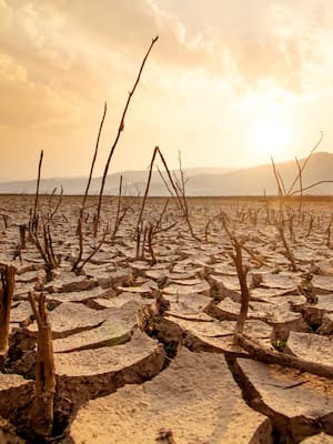 ¡Qué calor! | Columna de Simón Gaviria