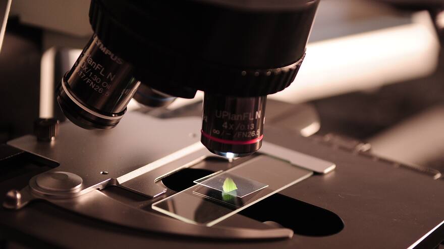 Identifican un subtipo de células inmunes que permite tratar la arteritis