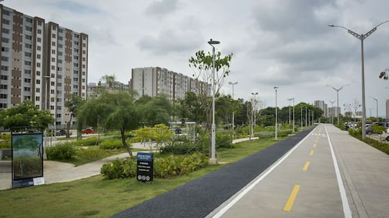 Las falacias de Horacio Brieva sobre Ciudad Mallorquín