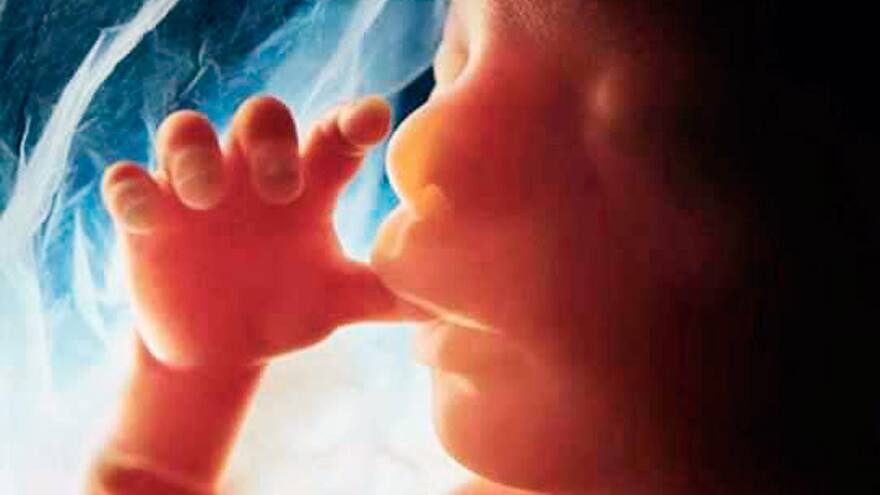 Mujer da a luz bebé de un embrión congelado hace 25 años