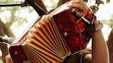 La música vallenata encontró su alma en los fuelles del acordeón
