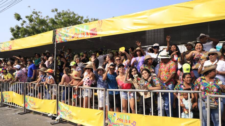 Cuatro grandes ventajas de vivir y gozar el Carnaval en minipalcos