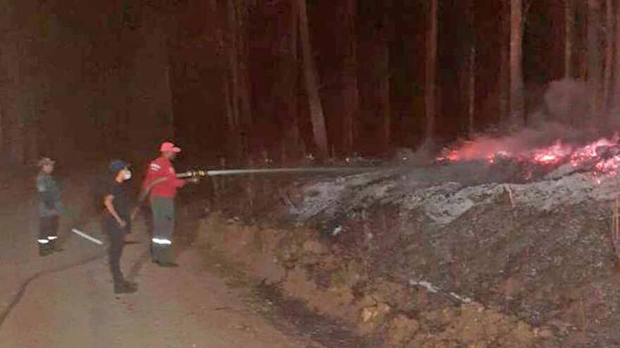Incendio acaba con 16 hectáreas de terreno que había sido restituido en Sucre