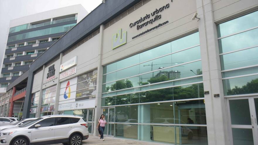 Curador N°1 pide desestimar tutela de veeduría local