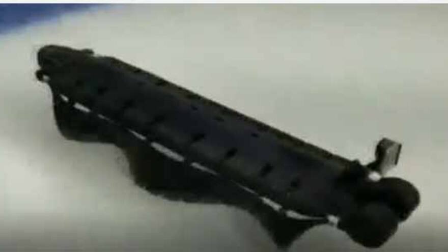 El sorprendente robot que nada, se arrastra e incluso patina