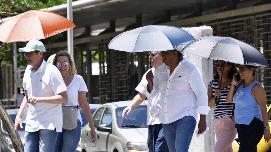 Paciencia: se vienen cuatro días más de intenso calor