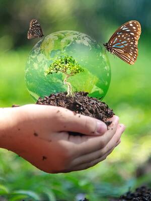 La solución es la adaptación | Columna de Isidoro Hazbun