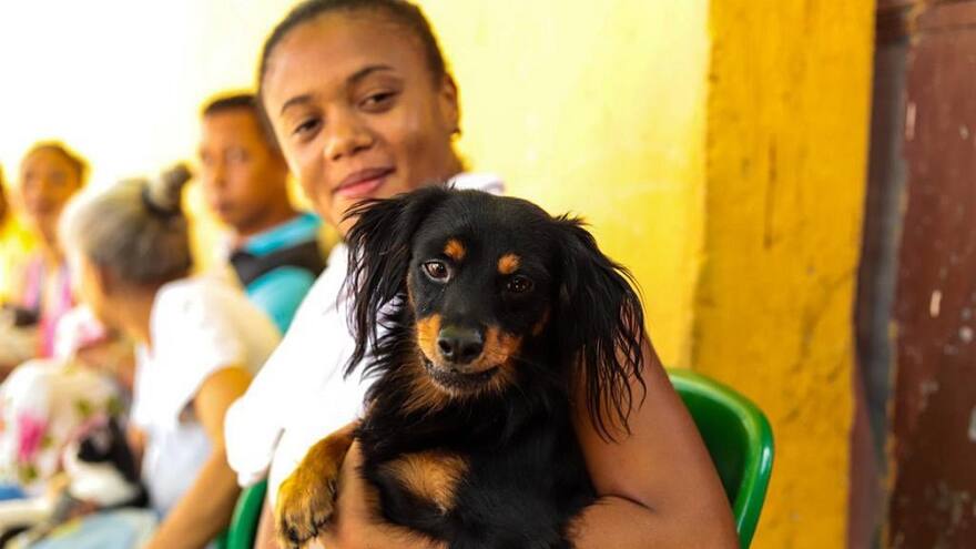 Adelantan jornadas de esterilización animal en Barranquilla