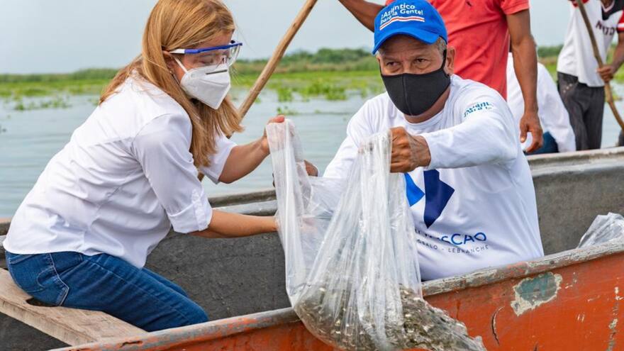 Ya van 12 millones de alevinos cultivados con el ‘Plan Pescao’