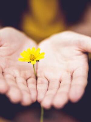 Cruzada por la esperanza