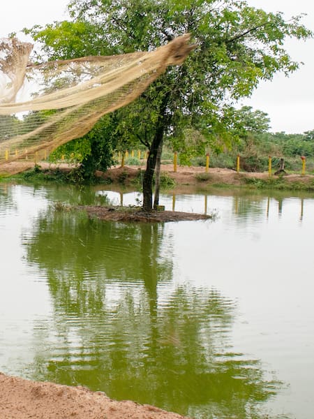 Drummond: minería con propósito  que transforma comunidades