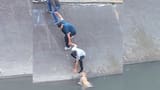 Video: mediante una cadena humana vecinos pudieron salvar a un perro que se cayó a un caño