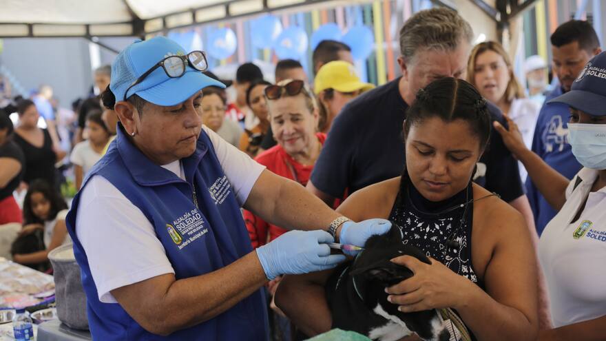 Realizan jornada de vacunación de mascotas en Soledad