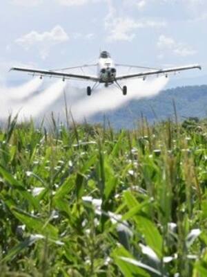 Fumigación o debacle