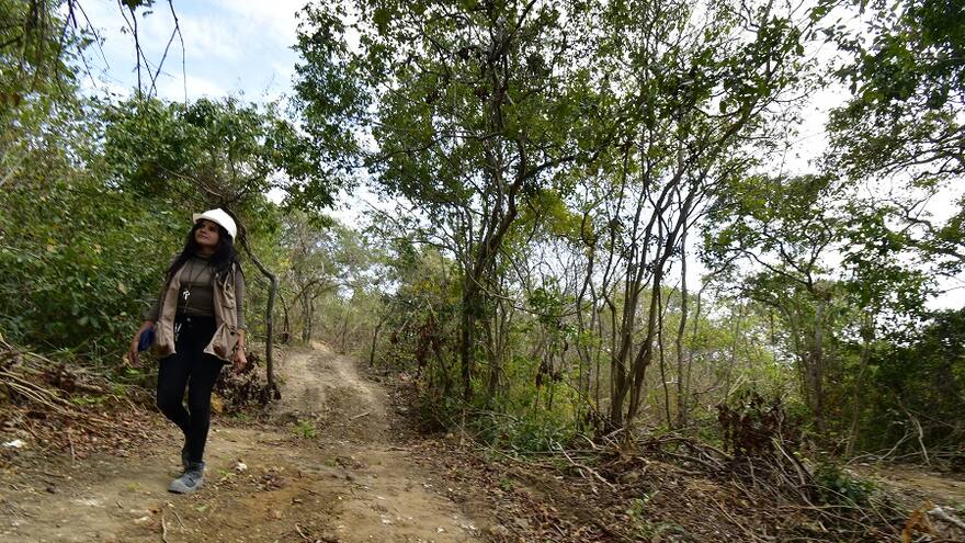 Avanzan obras en el Bosque Urbano de Miramar