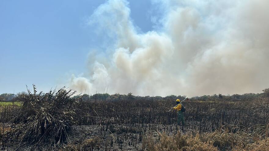 Barranquilla Verde analiza calidad del aire en Barranquilla tras exposición a las quemas en isla Salamanca