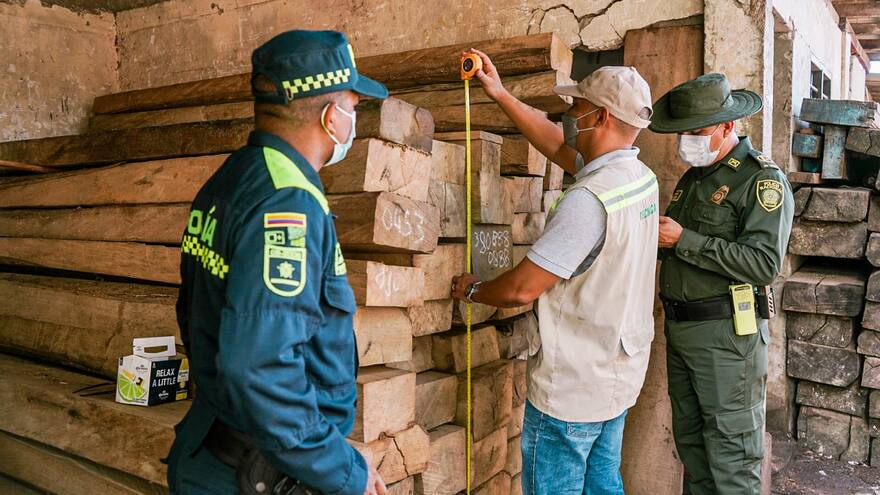 Aumentan controles en vías y comercializadoras para frenar tráfico de madera