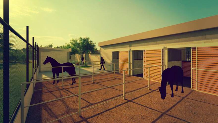 Así será la solución integral para los animales que habitan en las calles en Barranquilla