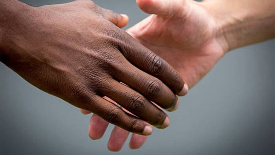 “Negro HP, negro bruto”