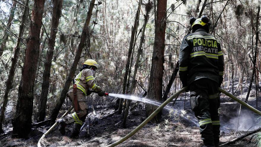 Procuraduría dice que ha faltado control de vegetación invasora que causa incendios