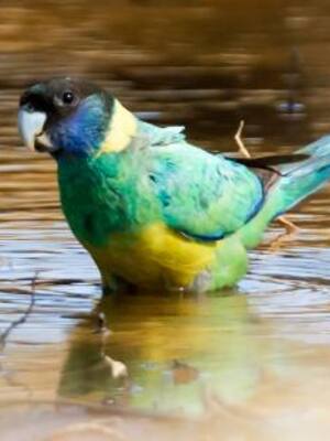 Decisiones que sorprenden