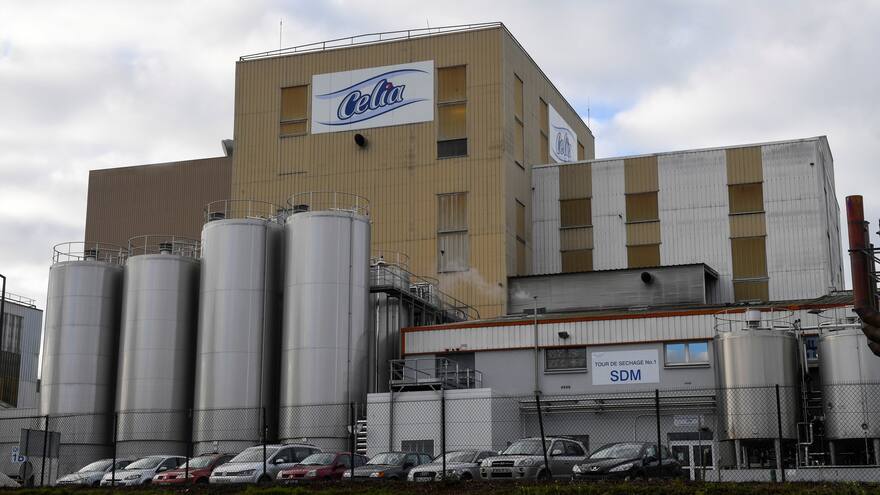 Leche Lactalis que retiró Francia por riesgo de salmonela se vende en Colombia