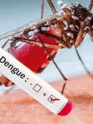 Todos contra el dengue