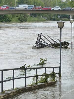 El afán ambientalista del presidente Petro | Columna de Alvaro E López