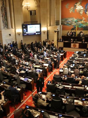 El próximo Congreso