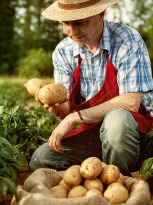 Las ventajas de agricultura por contrato | Columna de Hernán Baquero B.