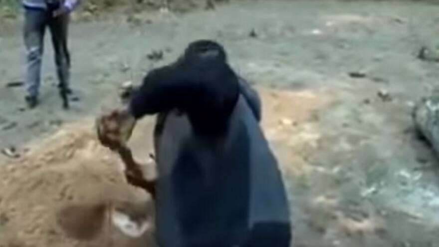 Pastor creía que era Jesús y se enterró vivo, pero al tercer día no resucitó