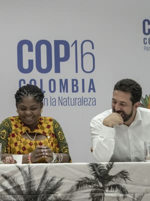 COP16: El mundial del Medio Ambiente, ¿qué es por qué es importante?
