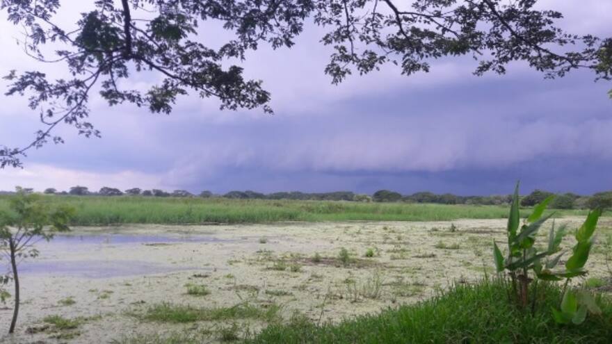 Campesinos en Montería denuncian intimidaciones desde la SAE
