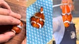 Video: chef publicó receta con pez payaso y desató polémica tras usar especie asociada a “Buscando a Nemo”