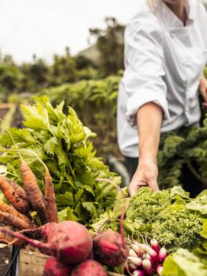 Entre dudas y desaciertos | Columna de Indalecio Dangond