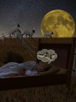 Contar ovejas | Columna de Remberto Burgos