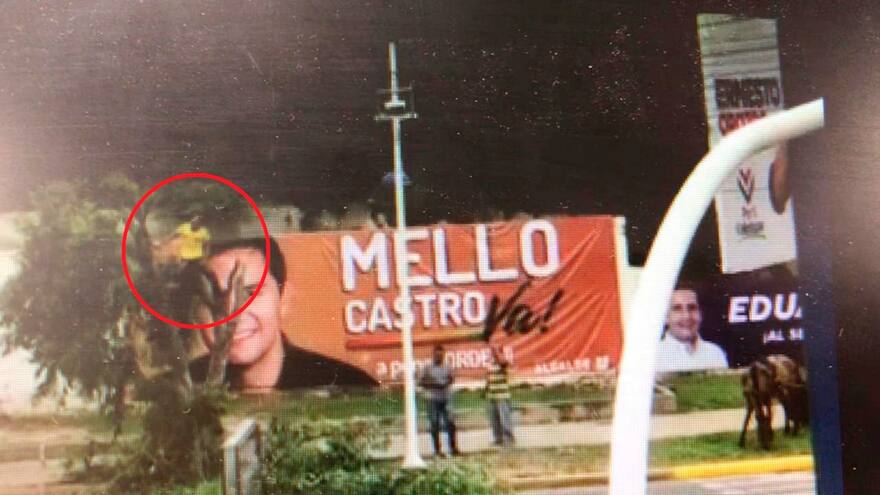 En video | Talan árbol que tapaba valla política en Valledupar