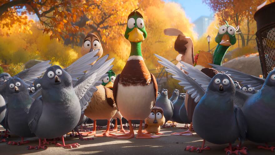 Patos, una aventura familiar para disfrutar en Navidad