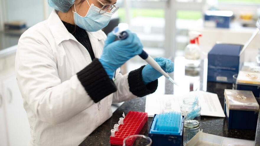 Conocer la genética de las poblaciones, una técnica para prevenir patologías